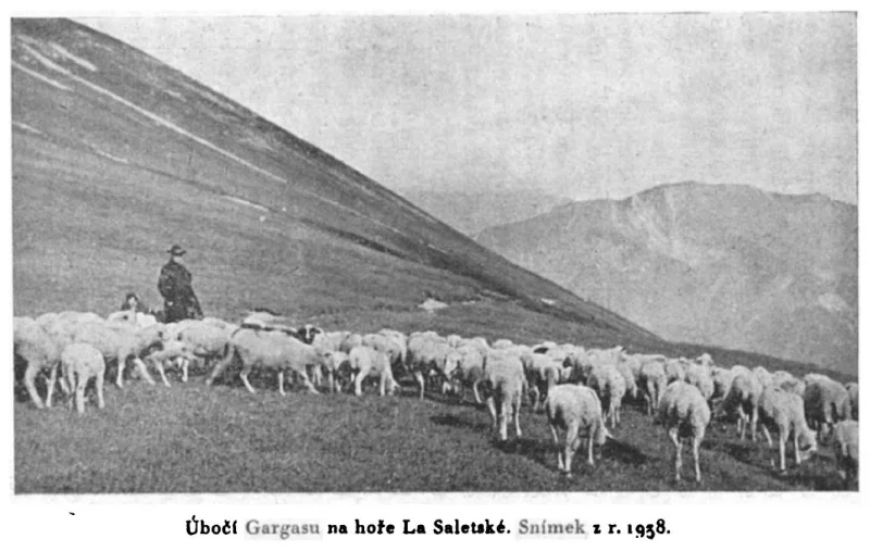 Úbočí Gargasu